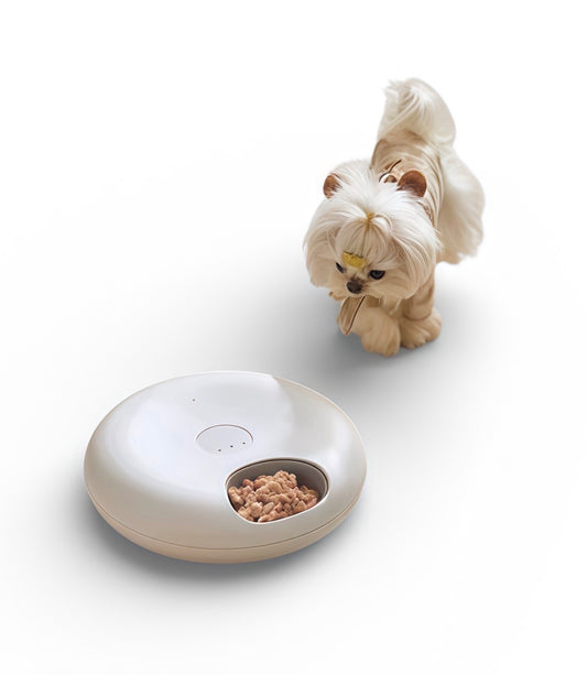 IntelliFeed — Rechargeable Smart Wet Food Feeder