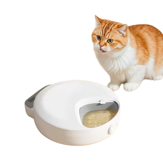IntelliFeed Mini — 4-Meal Smart Wet & Dry Food Feeder