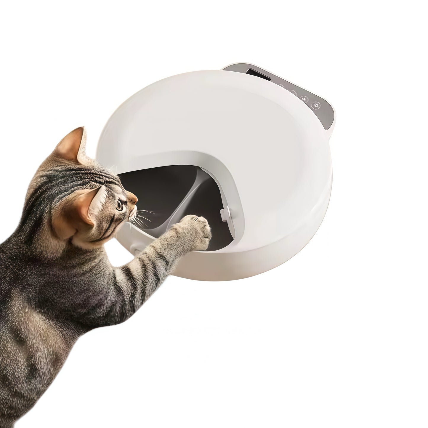 IntelliFeed Mini — 4-Meal Smart Wet & Dry Food Feeder