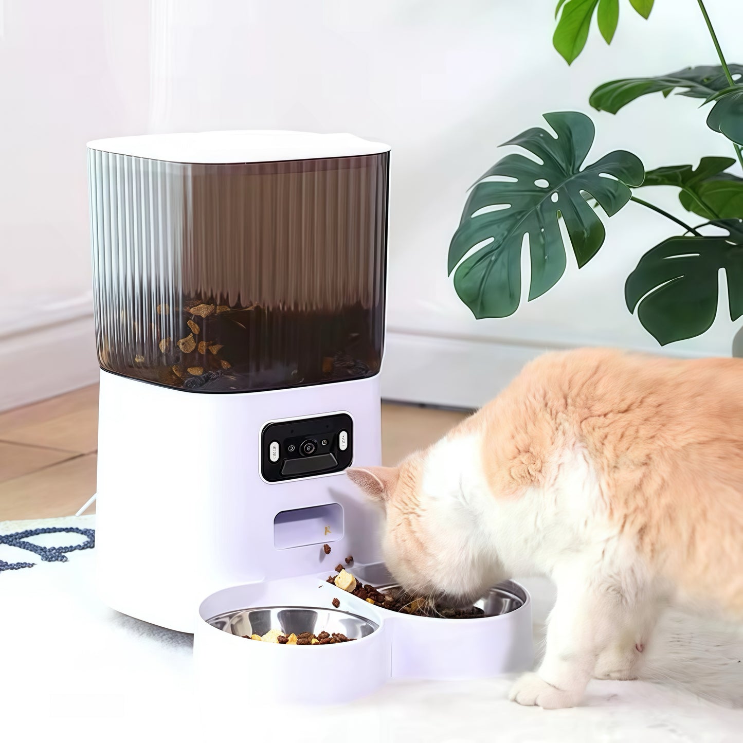 IntelliView — 5L Smart Camera & WiFi Pet Feeder