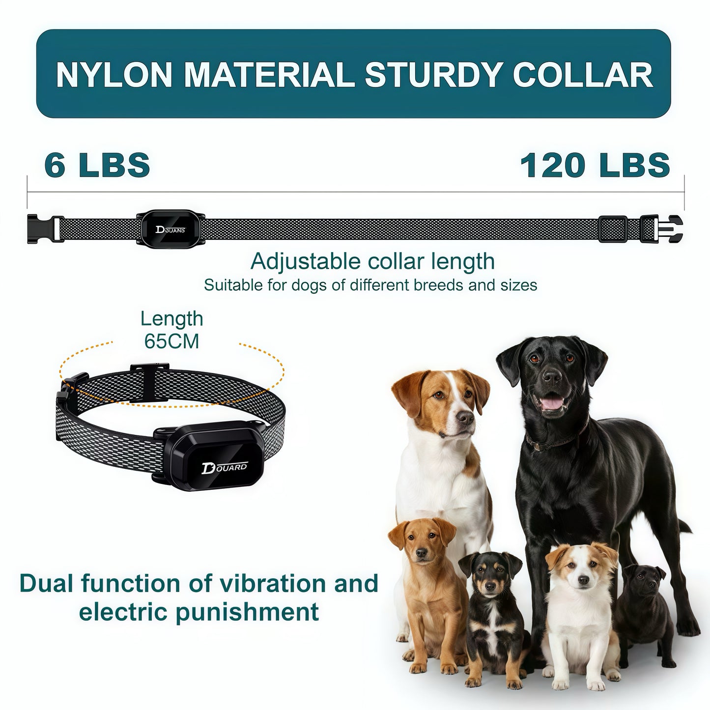 IntelliTrain — Long Range Smart Dog Training Collar